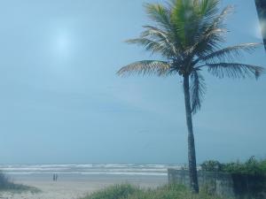 a palm tree sitting on a beach next to the ocean at Acampamento Aloha solemar in Praia Grande