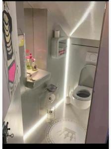 a small bathroom with a toilet and a sink at CrazyRoom in Schladming