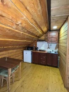 Η κουζίνα ή μικρή κουζίνα στο Лісова тиша номер - 1