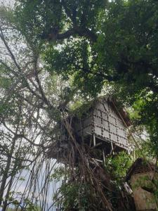 an old tree house sitting in a tree at Tree Home Adventure in Isaka