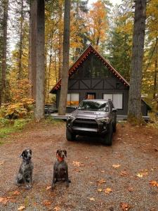 two dogs sitting in front of a car in front of a house at Luxury A-Frame with Hot Tub, Fireplace & Firepit in Skykomish