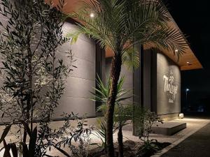 een palmboom voor een gebouw 's nachts bij Kubikai in Itoshima