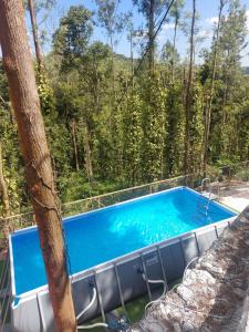 a swimming pool in the middle of a forest at GM Farm Mountain View Homestay in Avathi
