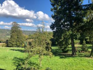 a tree in the middle of a field with trees at Le Refuge de Bruno in Saint-Amans-Soult +7 photos