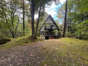 Κήπος έξω από το Kawa No Mori Villa Karuizawa - Ghibi-Like Enchanted Riverside Moss Garden Forest Retreat