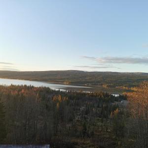 a view of a lake in the middle of a forest at Åkersjön lägenhet in Vallrun