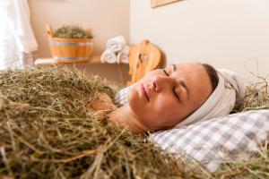 Spa and/or other wellness facilities at Hotel Heubad