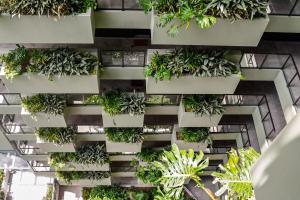 een gebouw met planten aan de zijkant bij Serene Designer Stay in Sydney