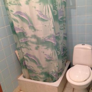 ムカチェヴォにあるApartment Downtownのバスルーム(シャワーカーテン、トイレ付) +2枚の写真