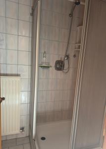 a bathroom with a shower with a bath tub at Appartement Sonnenspitze 5 in Ehrwald