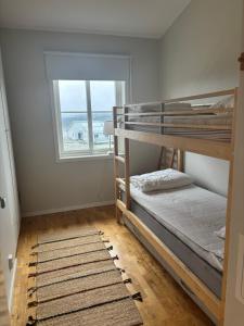 菲奈斯达伦Funäsdalsporten Röda Husen Funäsdalen的一间卧室，有两张双层床和一扇窗户