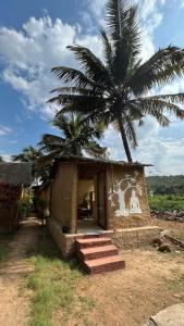 a small building with a palm tree in front of it at Stay in Nature in Arambol