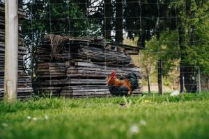 Gallery image of Ferienhaus Getreidesilo in Schneverdingen