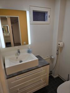 Koupelna v ubytování Anttoninvahe 5 - upea talo Raumalla + 24 fotografií