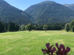 KirchbachにあるHaus Aの山を背景にした草原