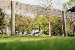 Gallery image of Gemütliche Ferienwohnung in Schneverdingen