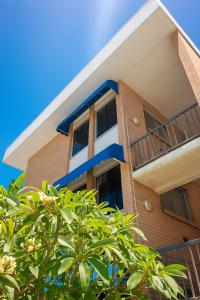 アレクサンドラ・ヘッドランドにあるBeachfront Penthouse With Uninterrupted Ocean Viewsの前に木がある建物