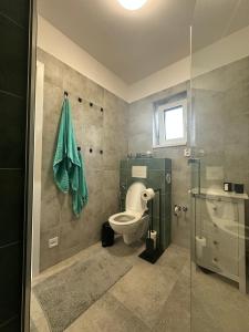 a bathroom with a toilet and a glass shower at Chata Mšené-lázně - Vrbice in Loucká