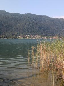 a body of water with a mountain in the background at Seehaus Ossiachersee in Ossiach