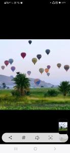 Billede fra billedgalleriet på Nour El Balad i Luxor