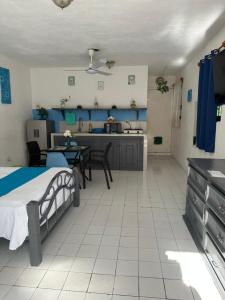 ein großes Zimmer mit Küche und einem Bett in der Unterkunft Casa San Miguel 1 in Cozumel