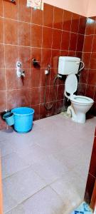 a bathroom with a toilet and a shower at Blue Bird Residency in Neil Island
