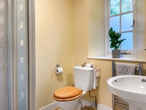 une salle de bains avec toilettes et lavabo dans l'établissement Bluebell Cottage, à South Brent 2 autres photos