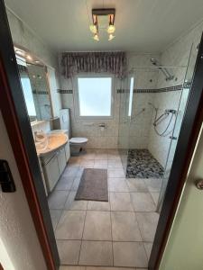 un bagno con doccia, WC e lavandino di Ferienwohnung Hocheifelblick a Reifferscheid Altre 31 foto