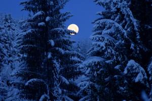 a full moon over a snowy forest at night at B&B Mas de Lagorae in Tesero