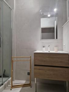 um banheiro com uma pia, um espelho e um chuveiro em Le Lys - Calme à 5 min tram, proche centre Stras em Estrasburgo