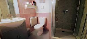 een badkamer met een wastafel, een toilet en een douche bij LA Grâce d'Amboise in Amboise +5 foto's