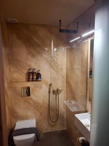 a bathroom with a shower and a toilet and a sink at Evanthia maisonette in Chalkida