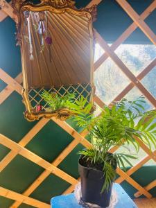 a mirror and a potted plant on a table at A Magical Cosy Garden Yurt in Ladyʼs Odell +6 photos