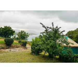 a view of a house with a tree in a field at A Magical Cosy Garden Yurt in Ladyʼs Odell