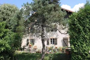 a tree in front of a white house at Gite - Le befoigneu in Ramonchamp +20 photos