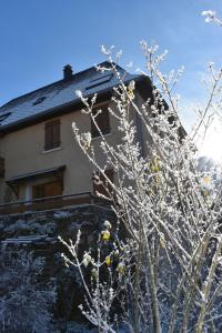 ein Haus mit einem Baum davor in der Unterkunft Une maison chaleureuse et accueillante au cœur de la Chartreuse in Saint-Pierre-dʼEntremont