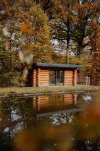 Příroda nedaleko chaty