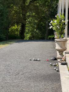 een groep rotsen op een oprit met een plant bij Manoir et Appartements avec piscine au Domaine de Bize Mirepoix in Mirepoix