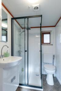 a bathroom with a shower and a toilet and a sink at Tiny Cabin Sole op de Veluwe in Putten