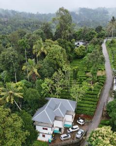 une vue aérienne d'une maison dans la forêt dans l'établissement Tea Haze Cottage, à Anachal