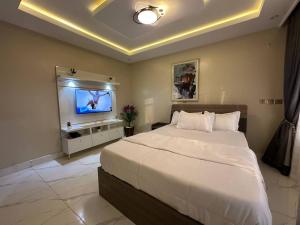 een slaapkamer met een groot bed en een flatscreen-tv bij Prestine Apartments in Abuja +18 foto's