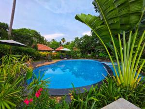 een zwembad in een tuin met planten bij Vedic Village Retreat Kodungallur in Cochin