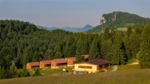 een huis midden op een heuvel met bomen bij Holiday Park Orava - Hotel Orava in Dolný Kubín