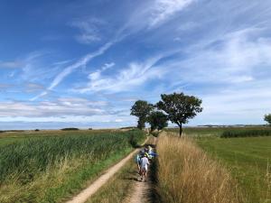 three people walking down a dirt road through a field at Ferienhaus Ostsee in Steinberg