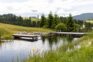 a dock in the middle of a body of water at Hotel Orava in Dolný Kubín
