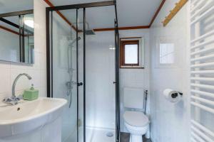a bathroom with a shower and a toilet and a sink at Tiny Cabin Sole op de Veluwe in Putten +18 photos