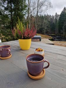 Κήπος έξω από το Braslas čuksti