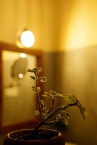 Fotografie z fotogalerie ubytování Whisper Point Eco Resort Diyaluma v destinaci Koslanda + 45 fotografií