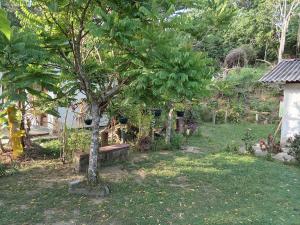 a park with a tree and a bench in a yard at White Shell in Tangalle