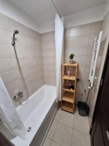 a bathroom with a white tub and a shower at Petit Blue in Dudu